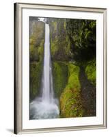 Tunnel Falls on Eagle Creek, Columbia Gorge, Oregon, USA-Gary Luhm-Framed Photographic Print