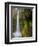 Tunnel Falls on Eagle Creek, Columbia Gorge, Oregon, USA-Gary Luhm-Framed Photographic Print