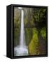 Tunnel Falls on Eagle Creek, Columbia Gorge, Oregon, USA-Gary Luhm-Framed Stretched Canvas