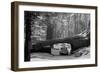 Tunnel Log-null-Framed Art Print