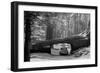 Tunnel Log-null-Framed Art Print