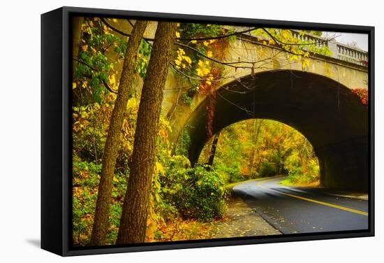 Tunnel of Fall-Eye Of The Mind Photography-Framed Stretched Canvas