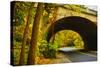 Tunnel of Fall-Eye Of The Mind Photography-Stretched Canvas