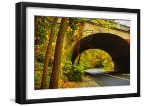 Tunnel of Fall-Eye Of The Mind Photography-Framed Photographic Print