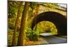 Tunnel of Fall-Eye Of The Mind Photography-Mounted Photographic Print