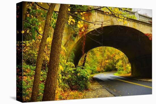 Tunnel of Fall-Eye Of The Mind Photography-Stretched Canvas