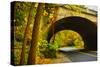 Tunnel of Fall-Eye Of The Mind Photography-Stretched Canvas