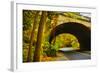 Tunnel of Fall-Eye Of The Mind Photography-Framed Photographic Print