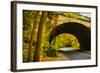 Tunnel of Fall-Eye Of The Mind Photography-Framed Photographic Print