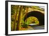 Tunnel of Fall-Eye Of The Mind Photography-Framed Photographic Print