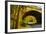 Tunnel of Fall-Eye Of The Mind Photography-Framed Photographic Print