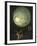 Tunnel of Light, from Paradise (Detail)-Hieronymus Bosch-Framed Premium Giclee Print