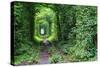Tunnel of Love-tverkhovinets-Stretched Canvas