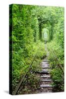 Tunnel of Love-tverkhovinets-Stretched Canvas