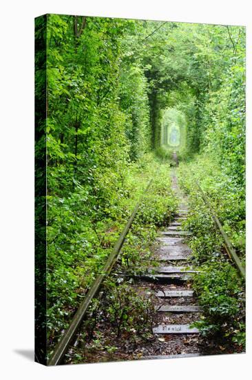 Tunnel of Love-tverkhovinets-Stretched Canvas