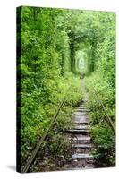 Tunnel of Love-tverkhovinets-Stretched Canvas