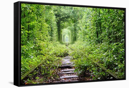 Tunnel of Love-tverkhovinets-Framed Stretched Canvas