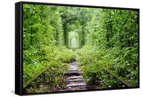 Tunnel of Love-tverkhovinets-Framed Stretched Canvas
