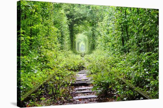 Tunnel of Love-tverkhovinets-Stretched Canvas