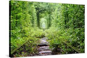 Tunnel of Love-tverkhovinets-Stretched Canvas