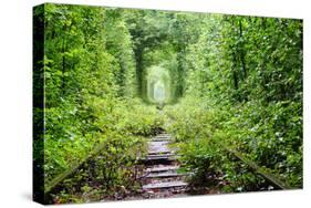 Tunnel of Love-tverkhovinets-Stretched Canvas