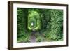 Tunnel of Love-tverkhovinets-Framed Photographic Print