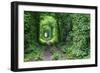 Tunnel of Love-tverkhovinets-Framed Photographic Print