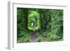 Tunnel of Love-tverkhovinets-Framed Photographic Print