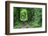 Tunnel of Love-tverkhovinets-Framed Photographic Print