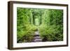 Tunnel of Love-tverkhovinets-Framed Photographic Print