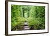 Tunnel of Love-tverkhovinets-Framed Photographic Print