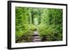 Tunnel of Love-tverkhovinets-Framed Photographic Print