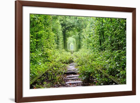 Tunnel of Love-tverkhovinets-Framed Photographic Print