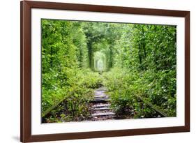 Tunnel of Love-tverkhovinets-Framed Photographic Print