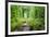 Tunnel of Love-tverkhovinets-Framed Photographic Print