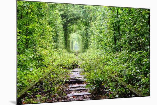 Tunnel of Love-tverkhovinets-Mounted Photographic Print