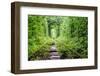 Tunnel of Love-tverkhovinets-Framed Photographic Print