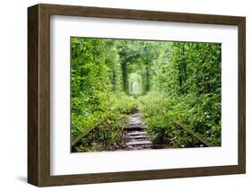 Tunnel of Love-tverkhovinets-Framed Photographic Print