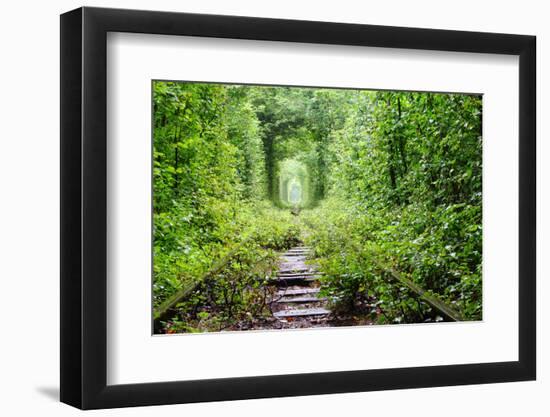 Tunnel of Love-tverkhovinets-Framed Photographic Print