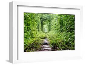 Tunnel of Love-tverkhovinets-Framed Photographic Print