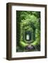 Tunnel of Love-tverkhovinets-Framed Photographic Print