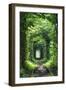 Tunnel of Love-tverkhovinets-Framed Photographic Print