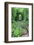 Tunnel of Love-tverkhovinets-Framed Photographic Print