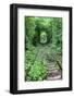 Tunnel of Love-tverkhovinets-Framed Photographic Print