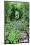 Tunnel of Love-tverkhovinets-Mounted Photographic Print