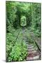 Tunnel of Love-tverkhovinets-Mounted Photographic Print