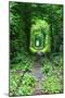 Tunnel of Love-tverkhovinets-Mounted Photographic Print