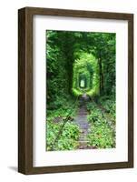 Tunnel of Love-tverkhovinets-Framed Photographic Print