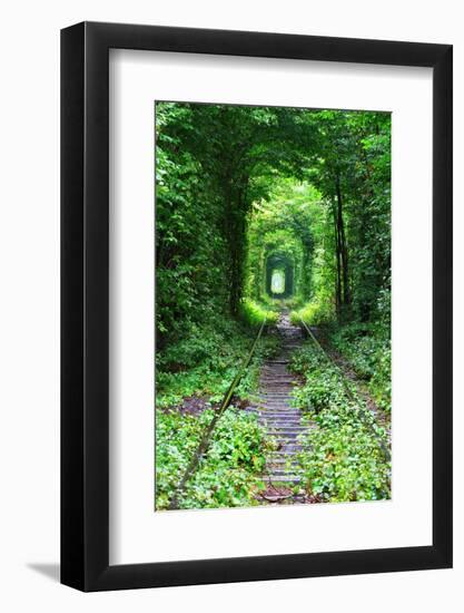 Tunnel of Love-tverkhovinets-Framed Photographic Print