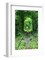 Tunnel of Love-tverkhovinets-Framed Photographic Print